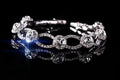Michael Kors Crystal Bracelet Set